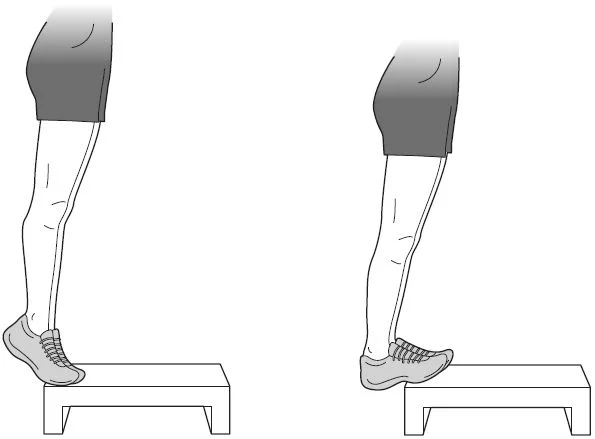 Подъем на носки - упражнения, прорабатывающее икроножные мышцы