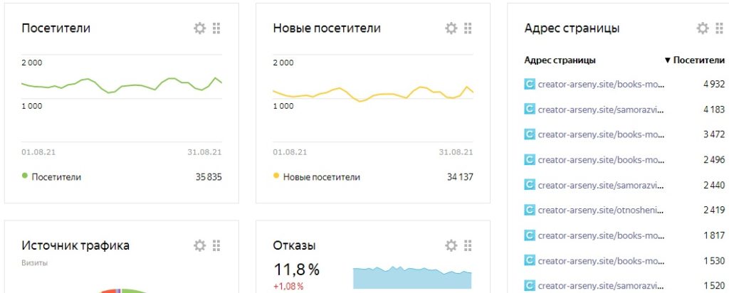 Статистика посетителей за август 2021 в Яндекс Метрике